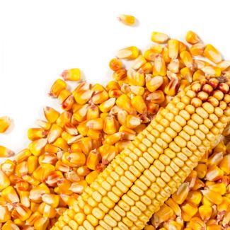 Maize 1 kg
